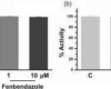 how much fenbendazole for humans