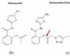 nitazoxanide 500 mg